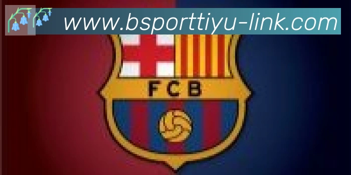 Bsports官网合作伙伴